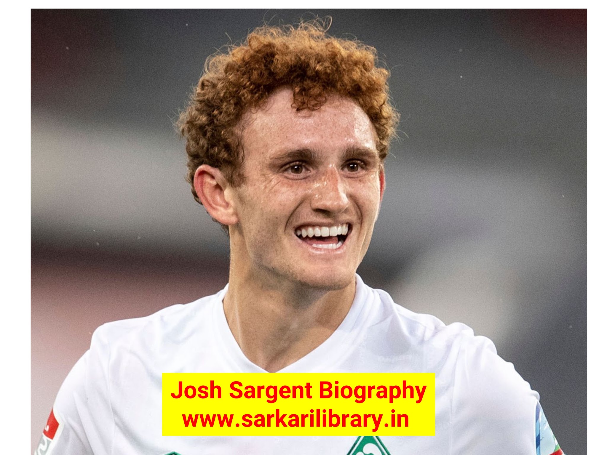 Josh sargent Biography