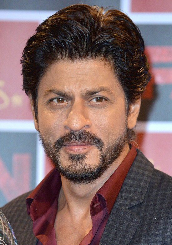 Read more about the article Shah Rukh Khan Biography with Family Members Pics